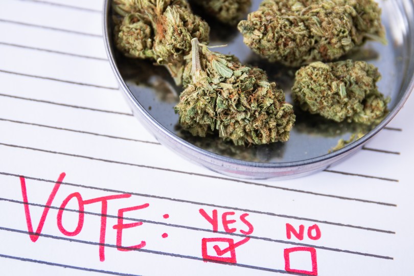 CBD laws